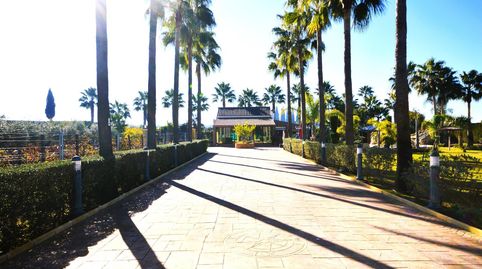 Foto 5 de Residencial en venta en Parque Atlántico - Ronda este, Jerez de la Frontera