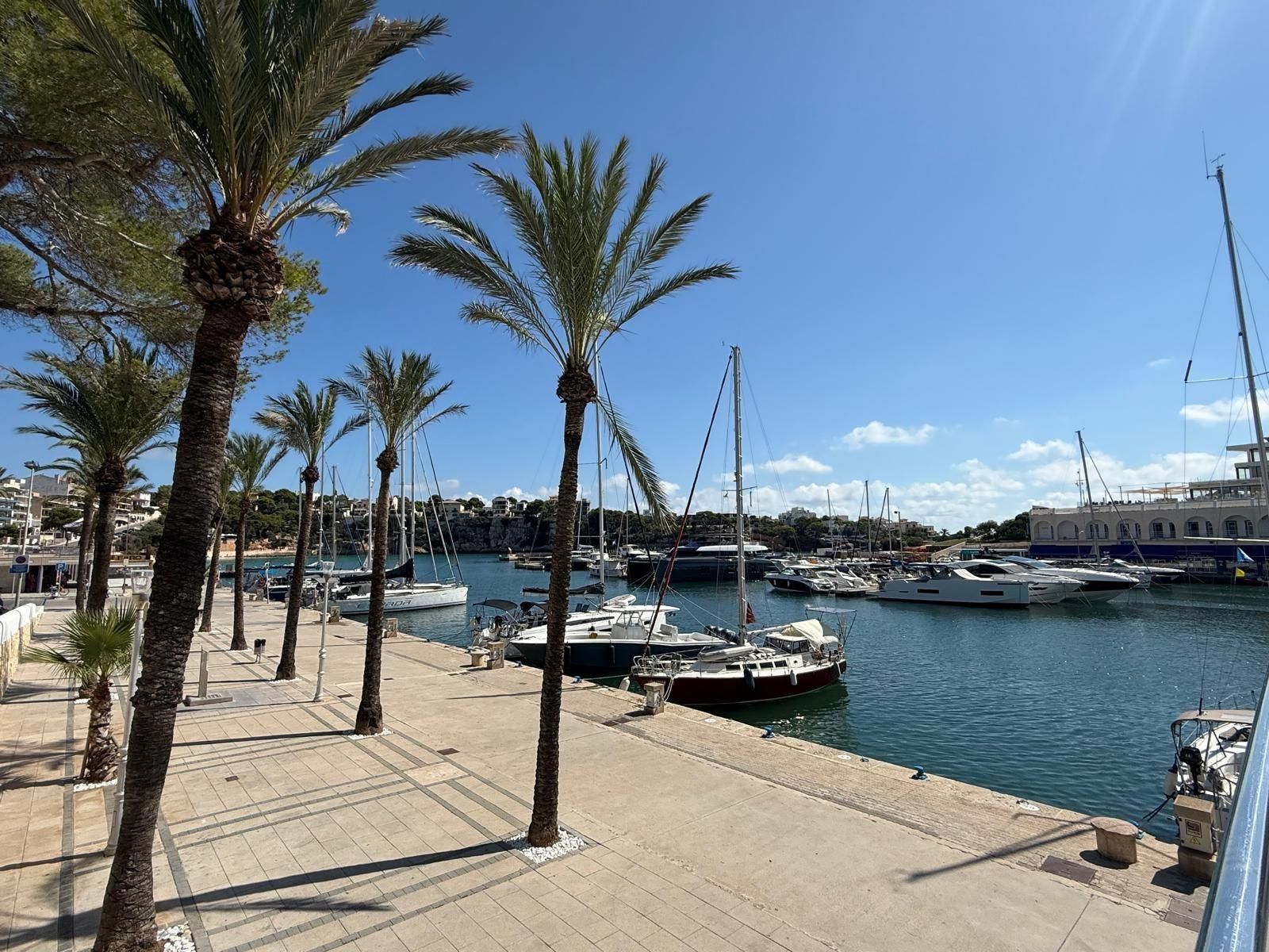 Country house for sale in Carrer TRAMUNTANA, Porto Cristo