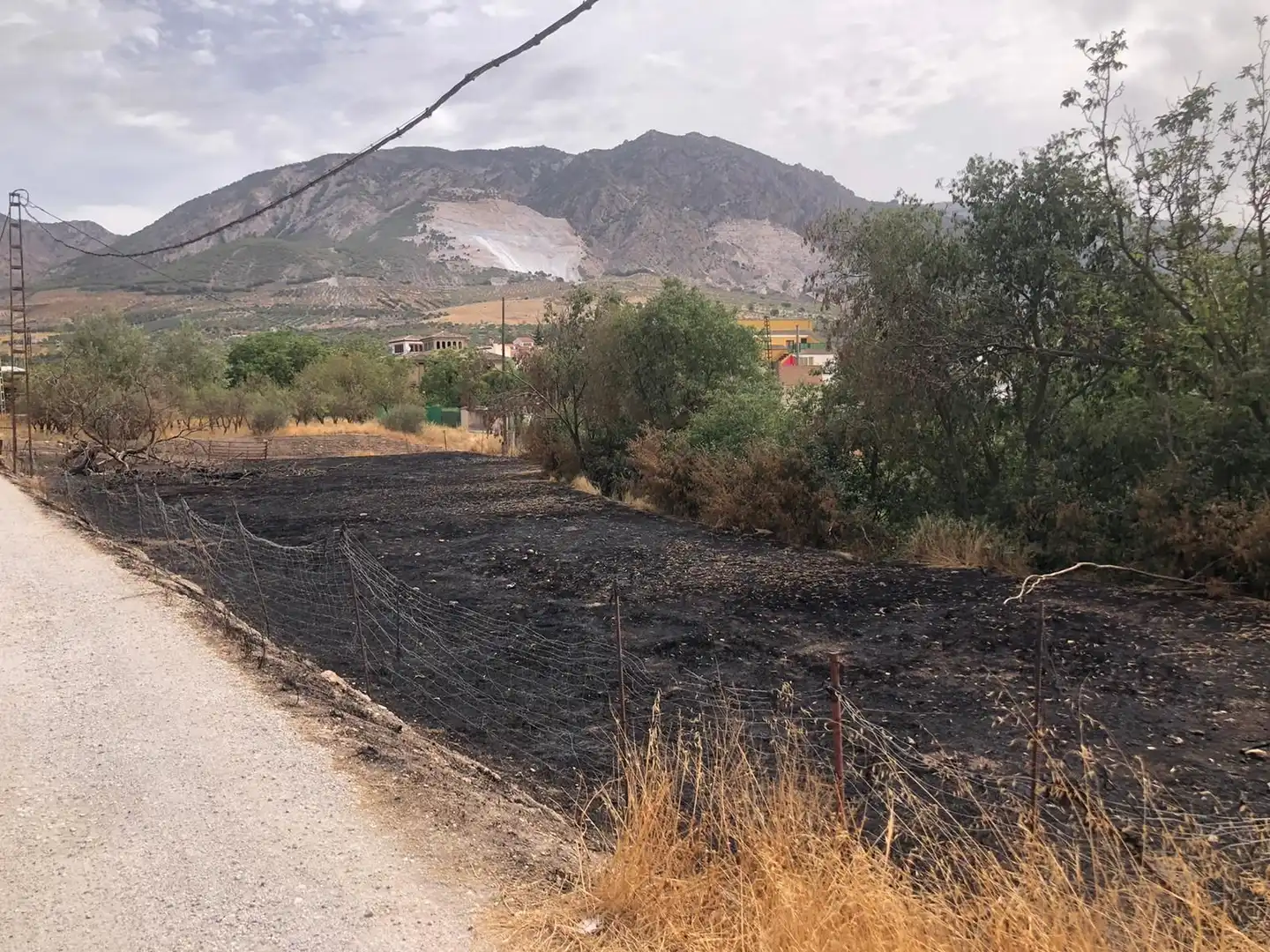 Terreni e lotti in vendita a Dúrcal, imagen 2