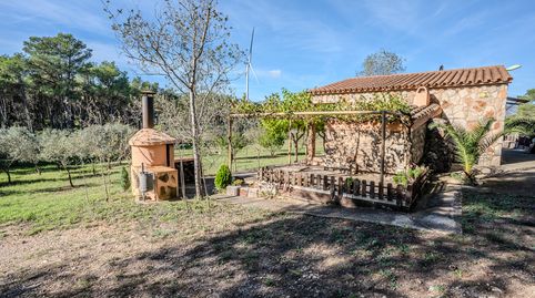 Finca rústica en venta en DS POLIGONO 5 342, El Perello, imagen 3