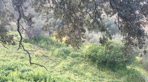 Foto 3 de Terreny en venda a Calle de la Fuente, 9, Algar, Cádiz