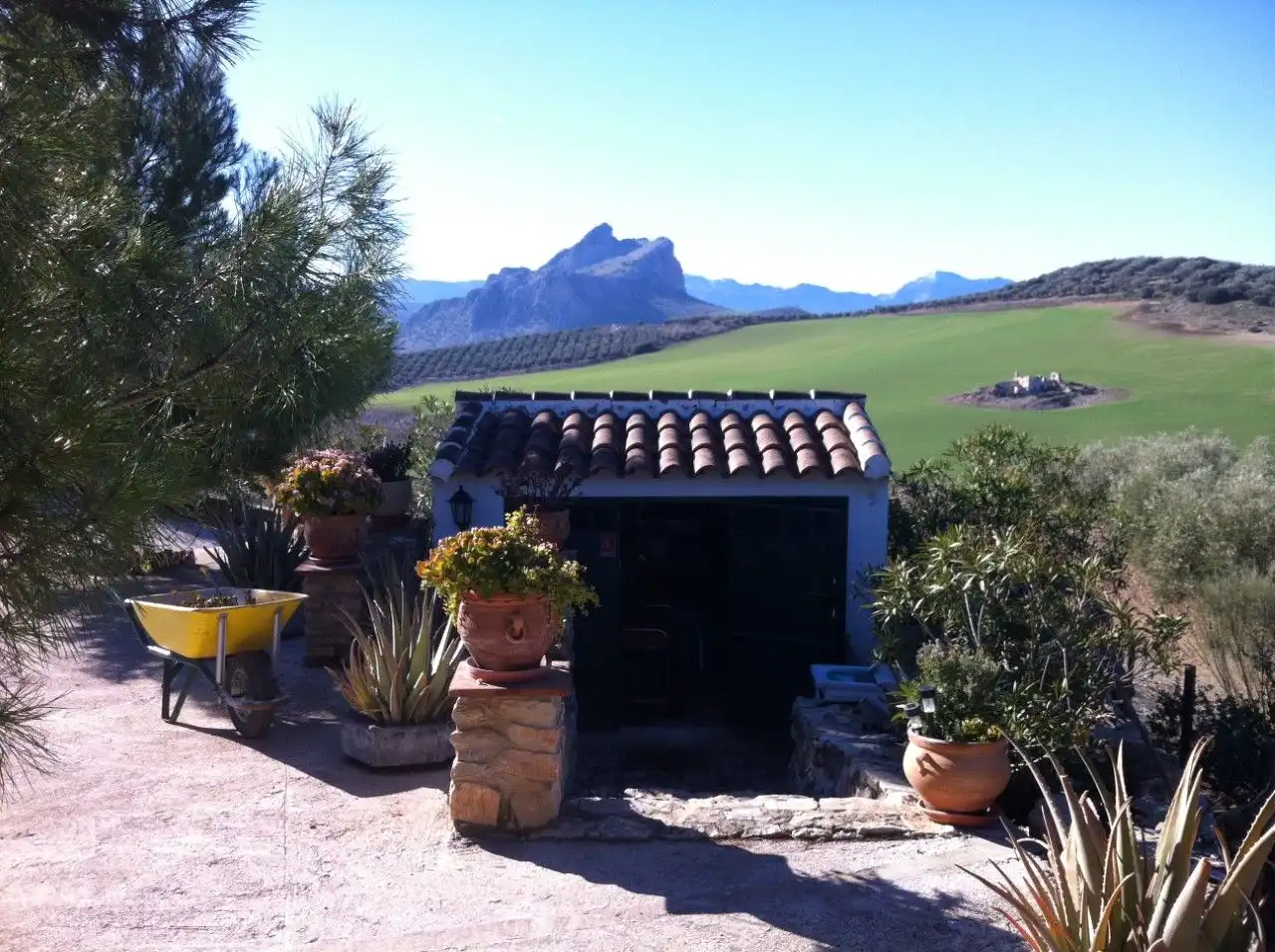 Garden of Country homes for sale in Archidona  with Terrace, Storage room and Furnished