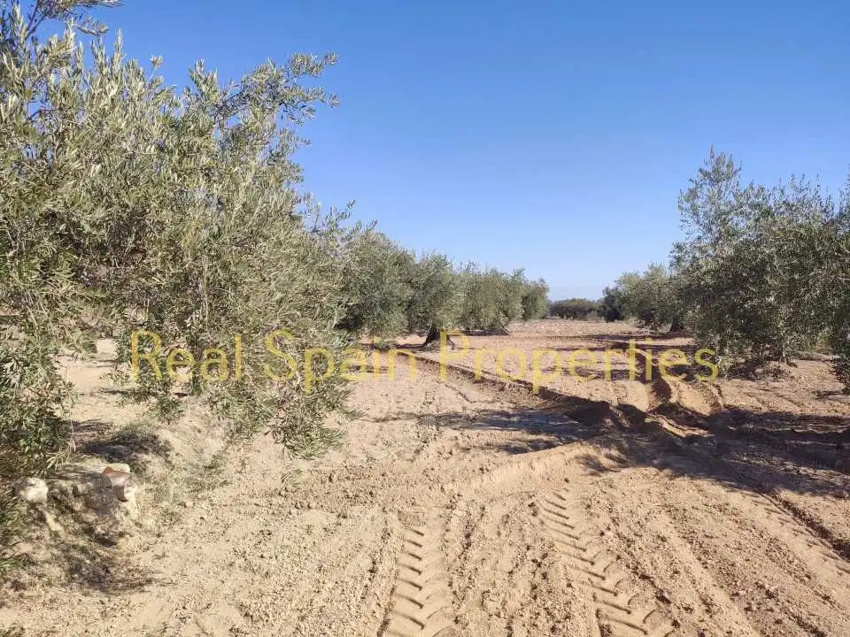 Residential land for sale in Vélez-Rubio, imagen 2