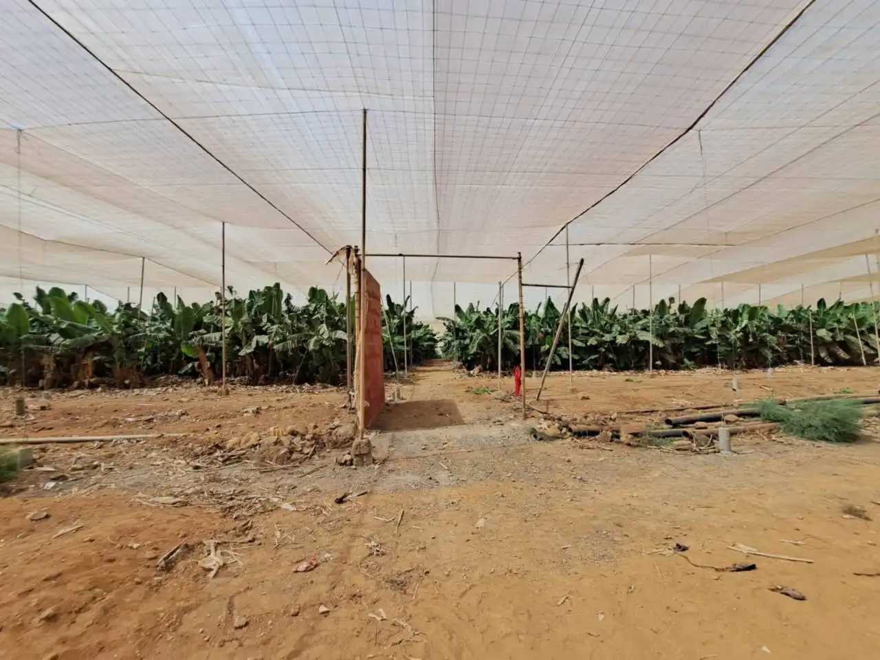 Rural land for sale in Cruce de Arinaga, imagen 19
