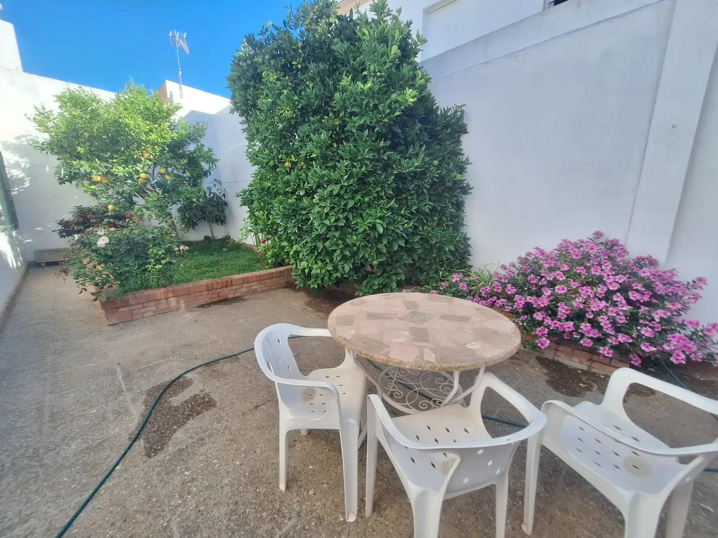 Jardí de Casa o xalet en venda en Chiclana de la Frontera amb Terrassa