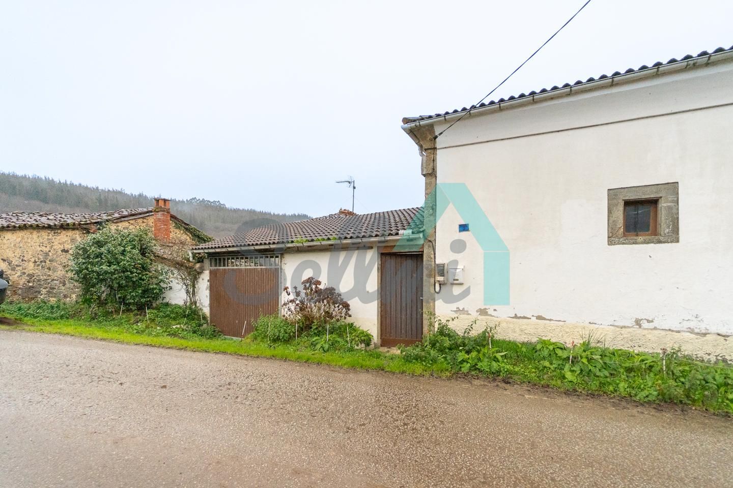 Vista exterior de Casa o chalet en venta en Tineo con Jardín privado y Parquet