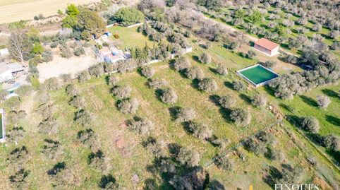 Foto 5 de Finca rústica en venta en Camino Borges a Reus, 1, Riudoms, Tarragona