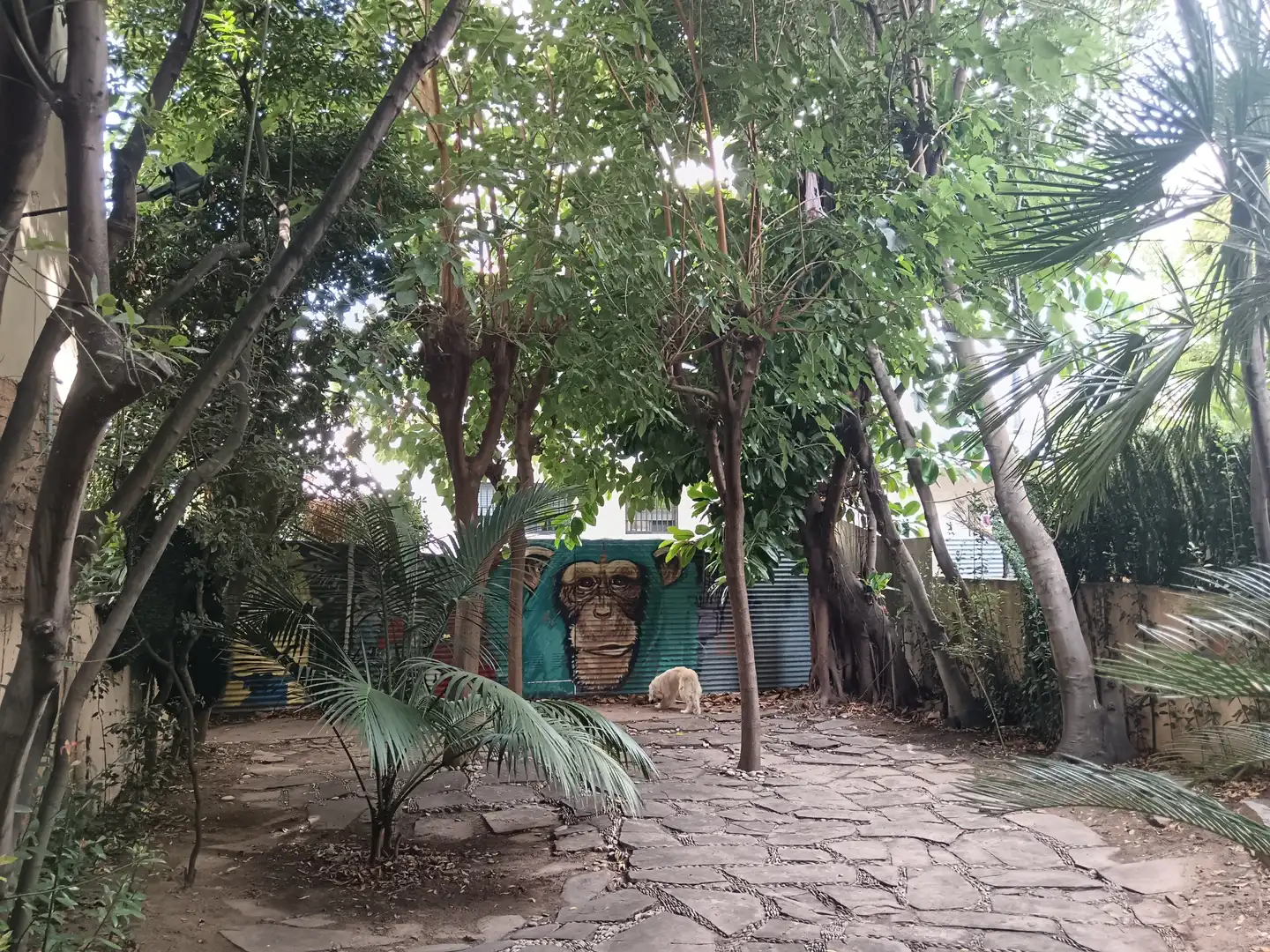 Adossat amb terrassa en venda a Playa, imagen 33