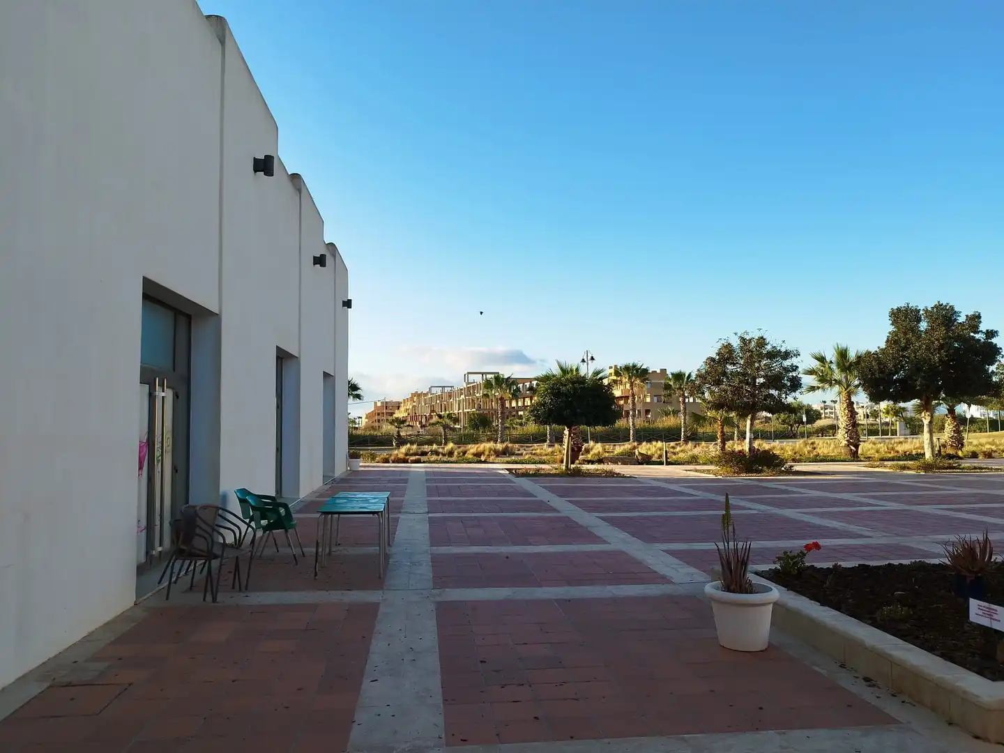 Vista exterior de Local de alquiler en Torre-Pacheco