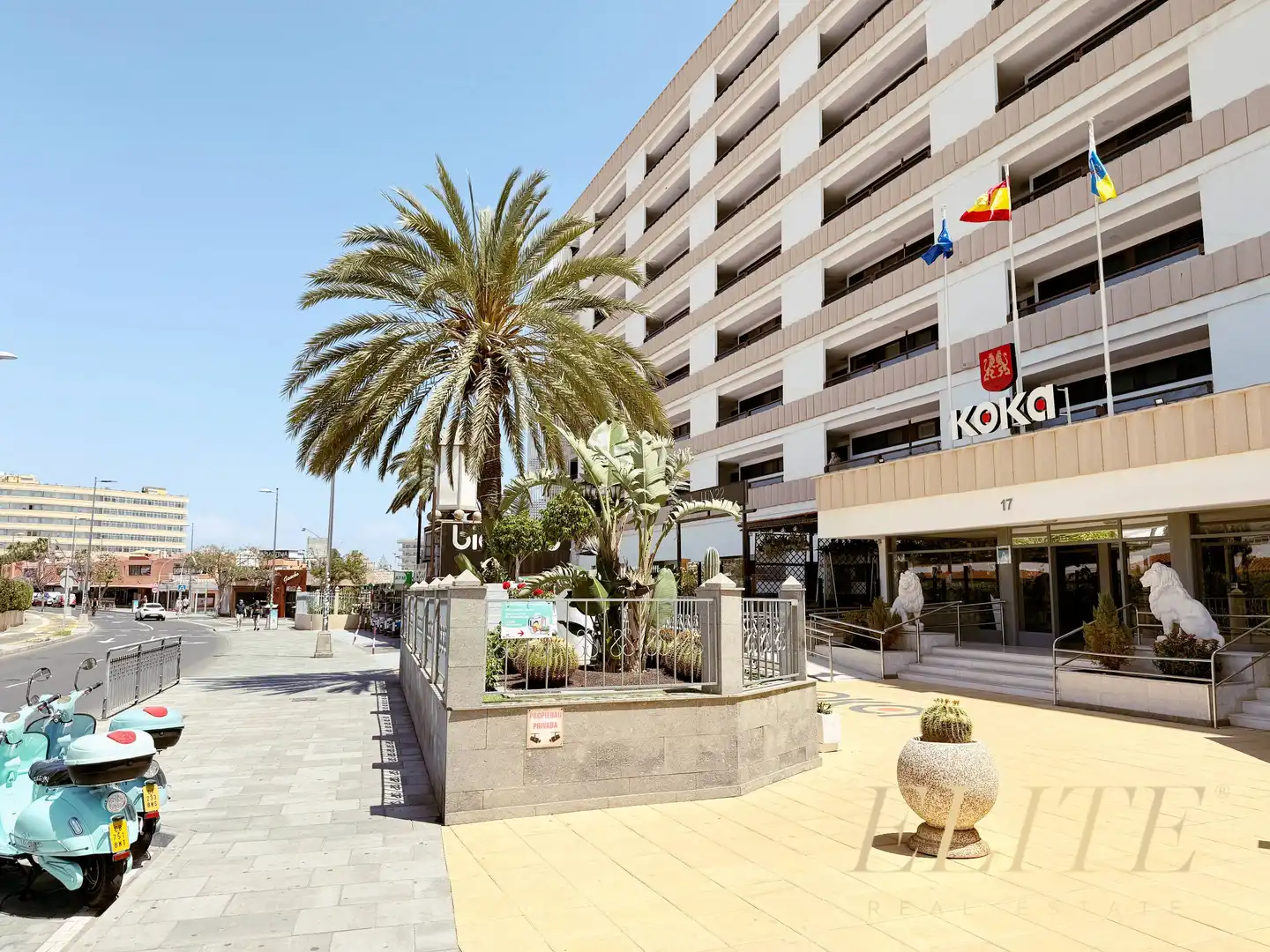 Vista exterior de Estudio en venta en San Bartolomé de Tirajana con Jardín privado, Terraza y Amueblado