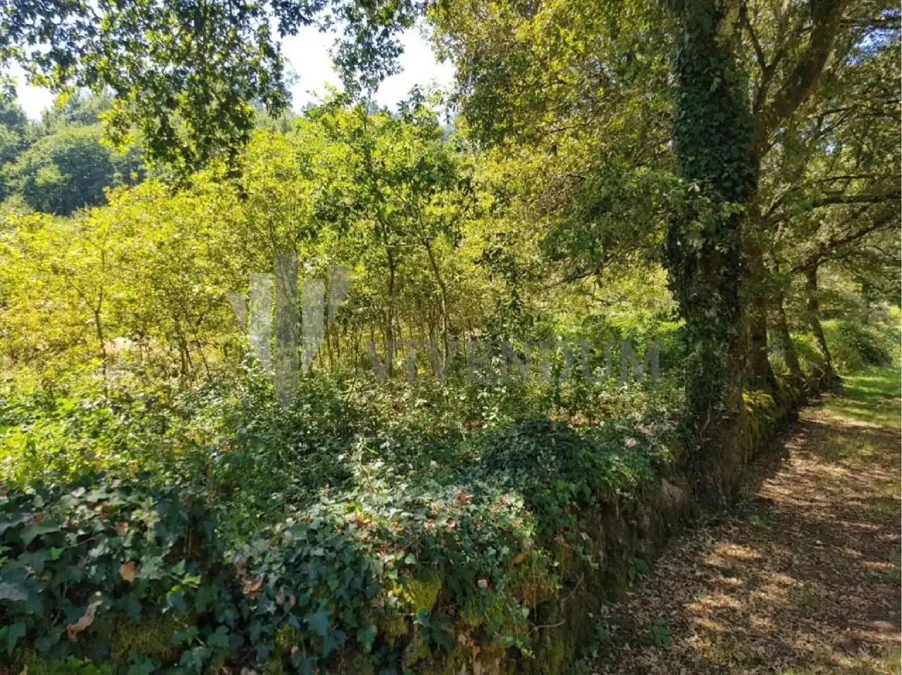 Residential for sale in Fornelos de Montes
