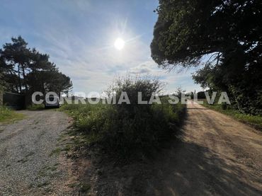 Terreny rústic en venda a Riudarenes