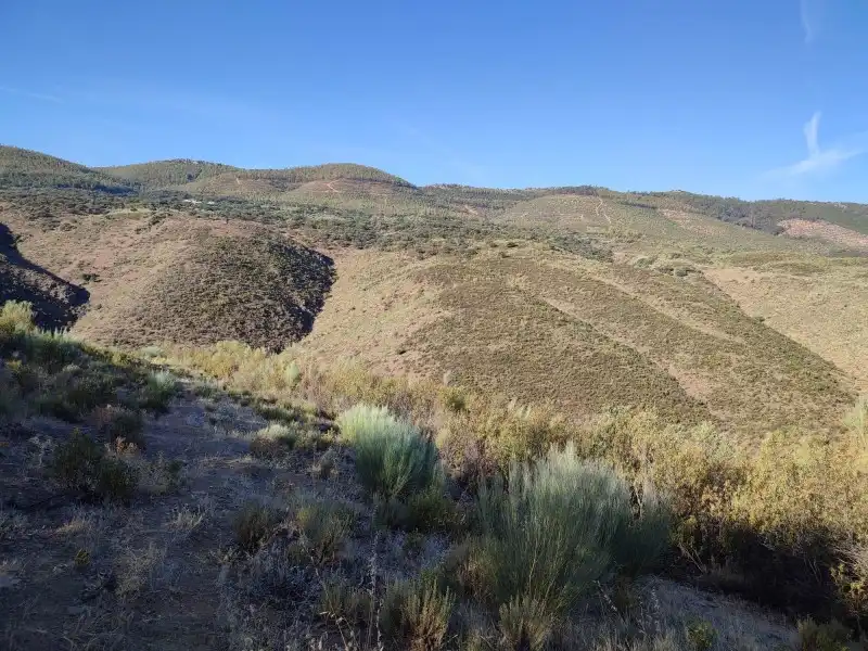 Terreno en venta en Fresnedoso de Ibor
