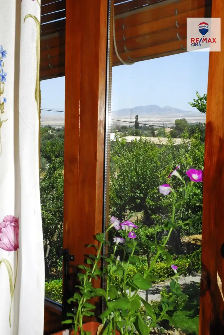 Jardí de Casa o xalet en venda en Baza amb Aire condicionat, Calefacció i Jardí privat