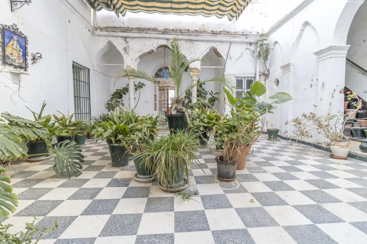 Jardí de Casa adosada en venda en El Viso del Alcor