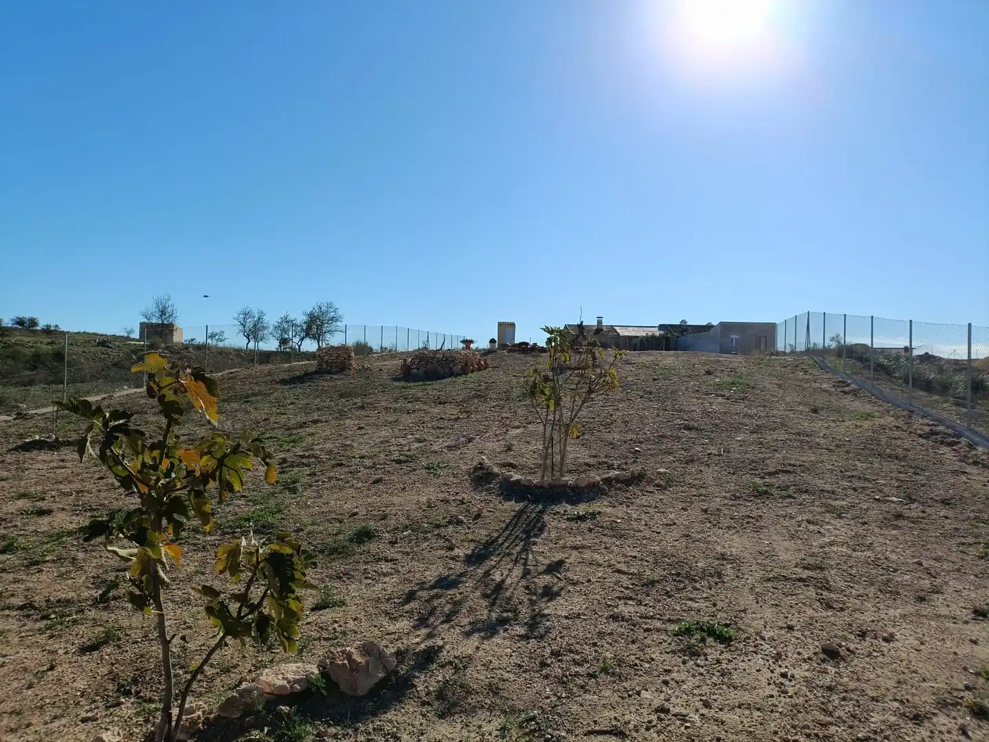 Casa rústica con jardín en venta en Raiguero Bajo, imagen 10