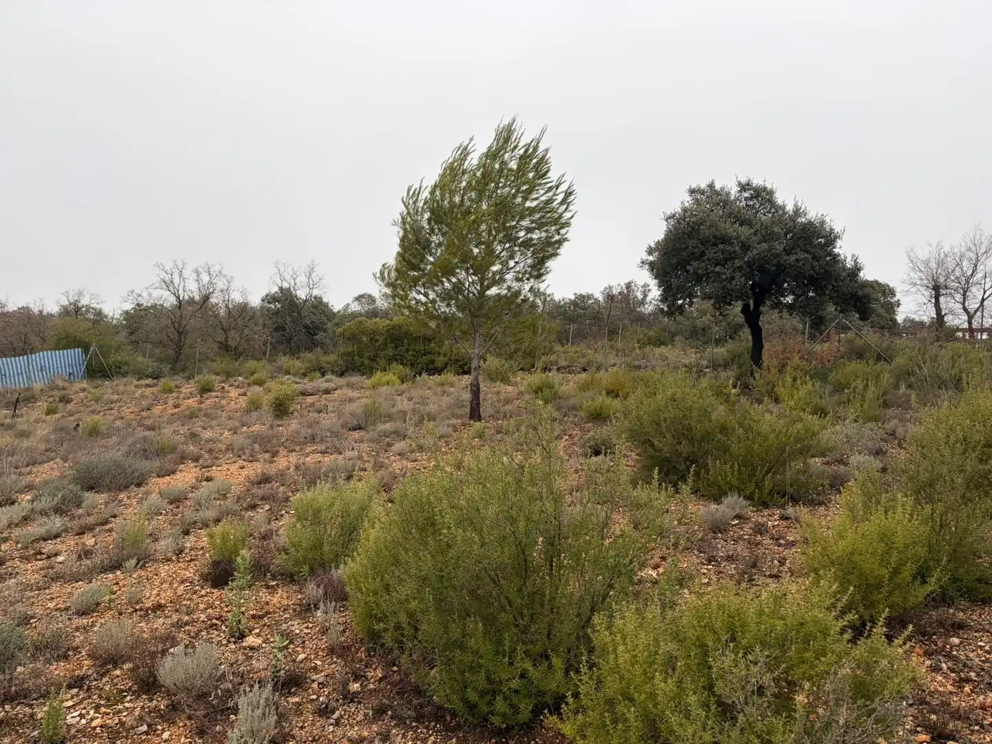 Residencial en venta en Loranca de Tajuña