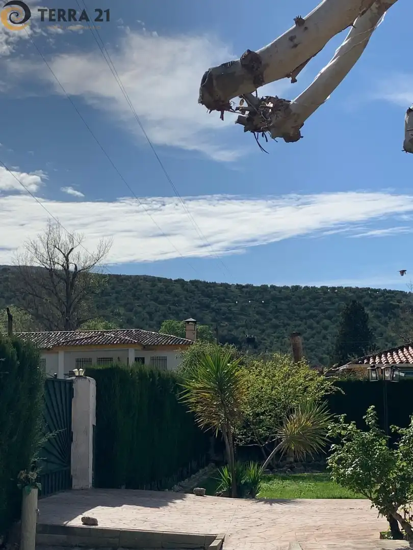 Außenansicht von Haus oder Chalet zum Verkauf in Jaén mit Klimaanlage, Privatgarten und Terrasse