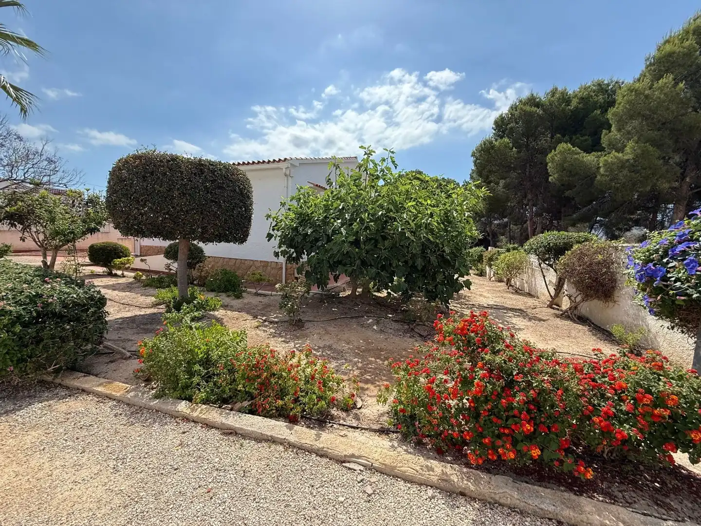 Casa con jardín en venta en Pueblo - Urbanizaciones, imagen 29