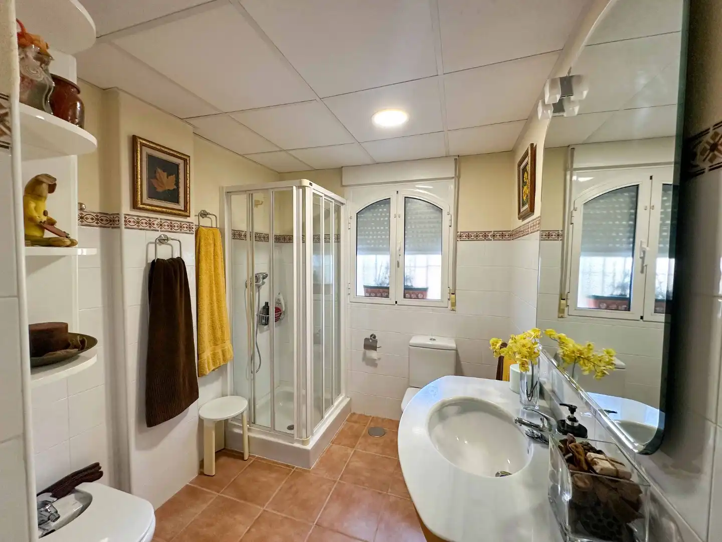 Baño de Casa o chalet en venta en Pedanías Norte