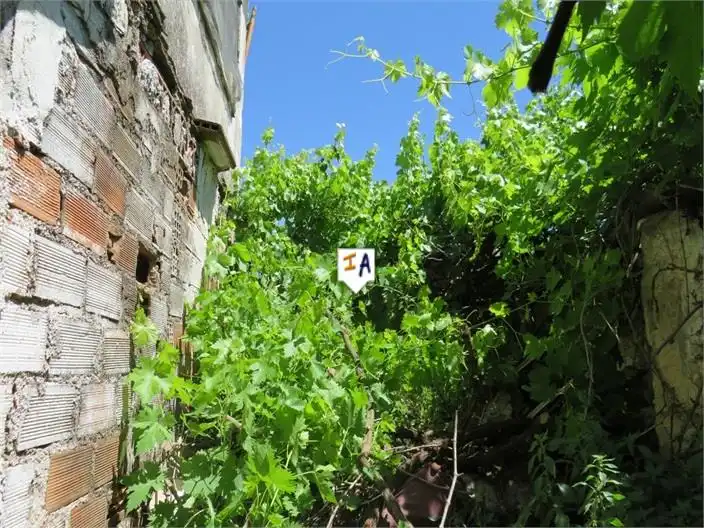 Finca rústica en venta en Fuensanta de Martos