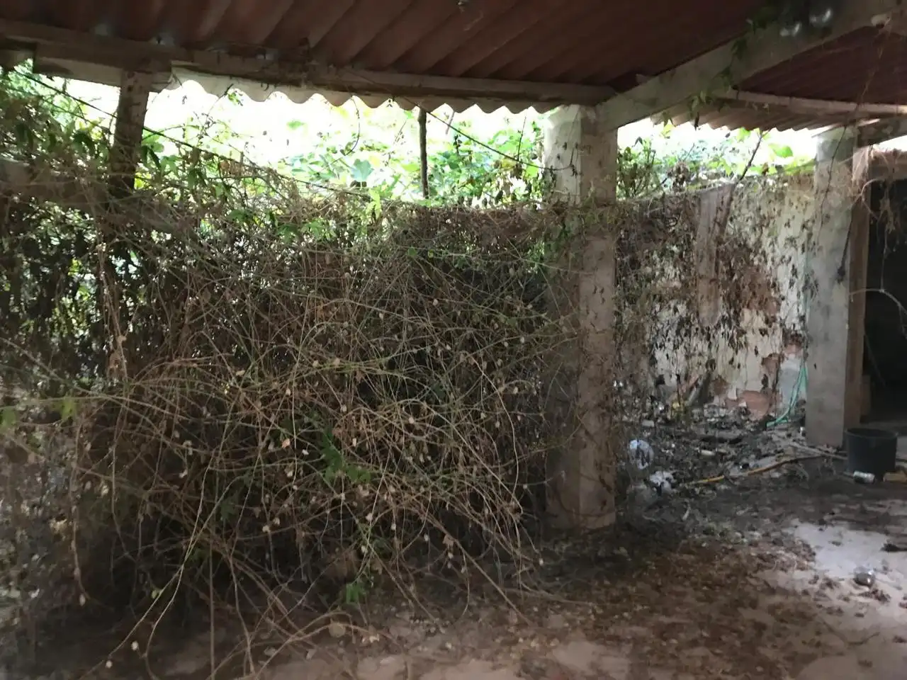 House for sale in La Concordia, imagen 11