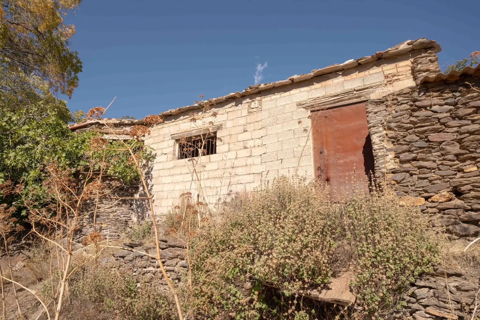 Vista exterior de Finca rústica en venda en Válor amb Jardí privat i Terrassa