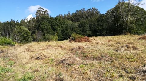 Foto 3 de Finca rústica en venta en Amenal, O Pino , A Coruña
