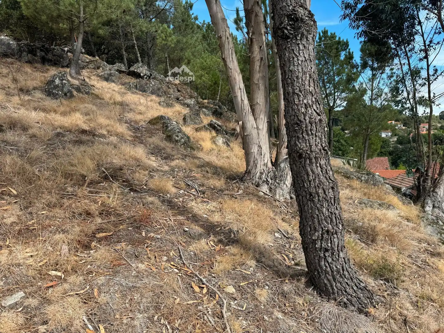 Casa o xalet en venda en Covelo