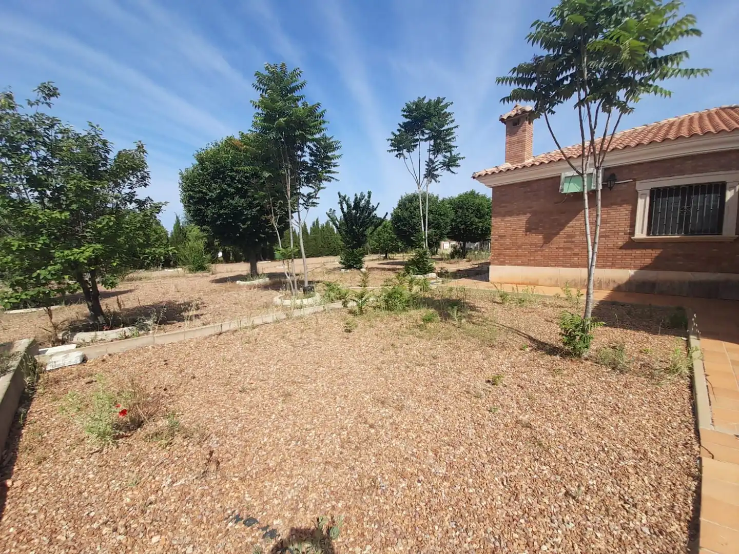 House with pool for sale in Argamasilla de Calatrava, imagen 52