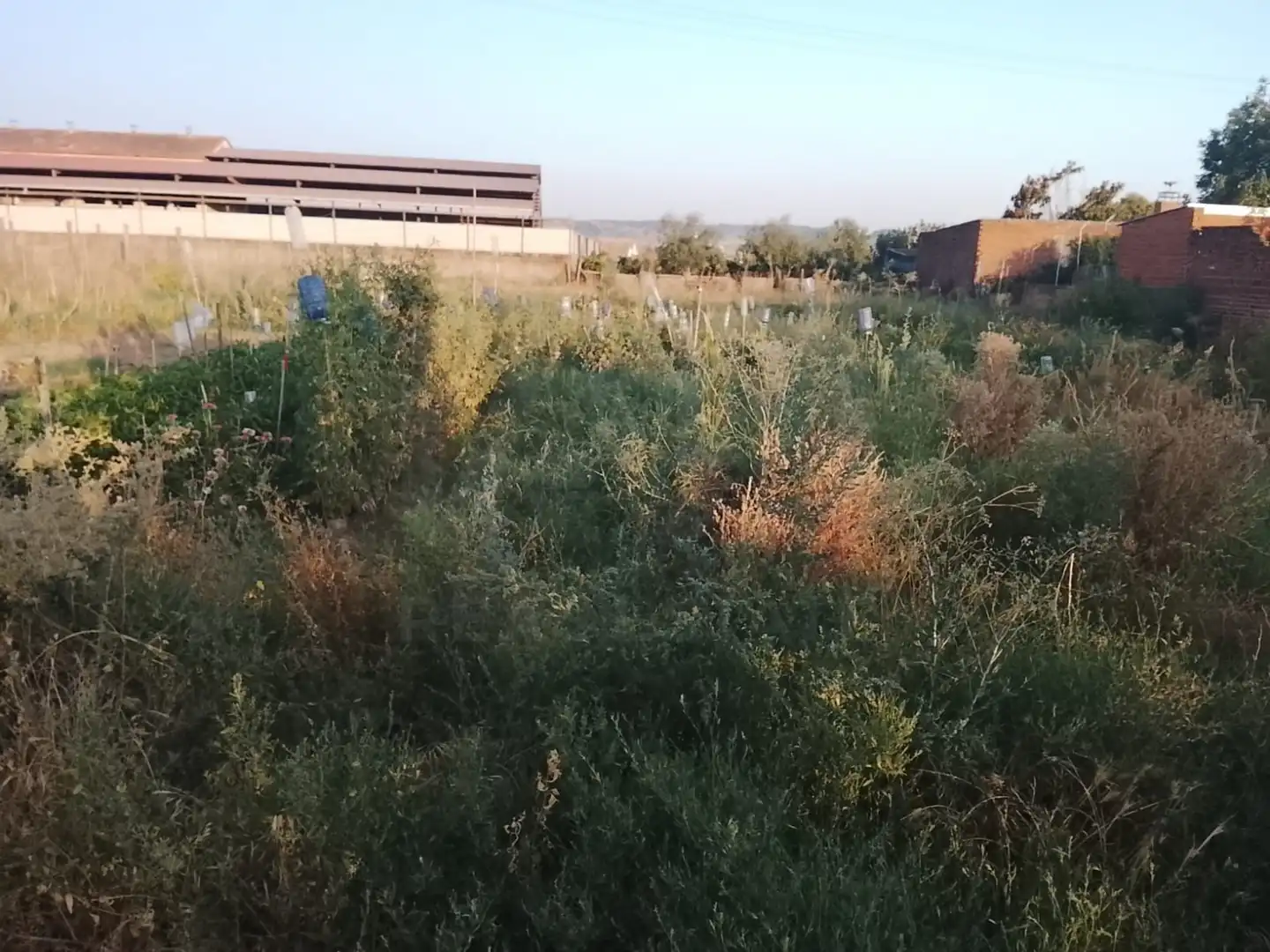 Terreno residenziale in vendita a Ur La Morena 8, imagen 24