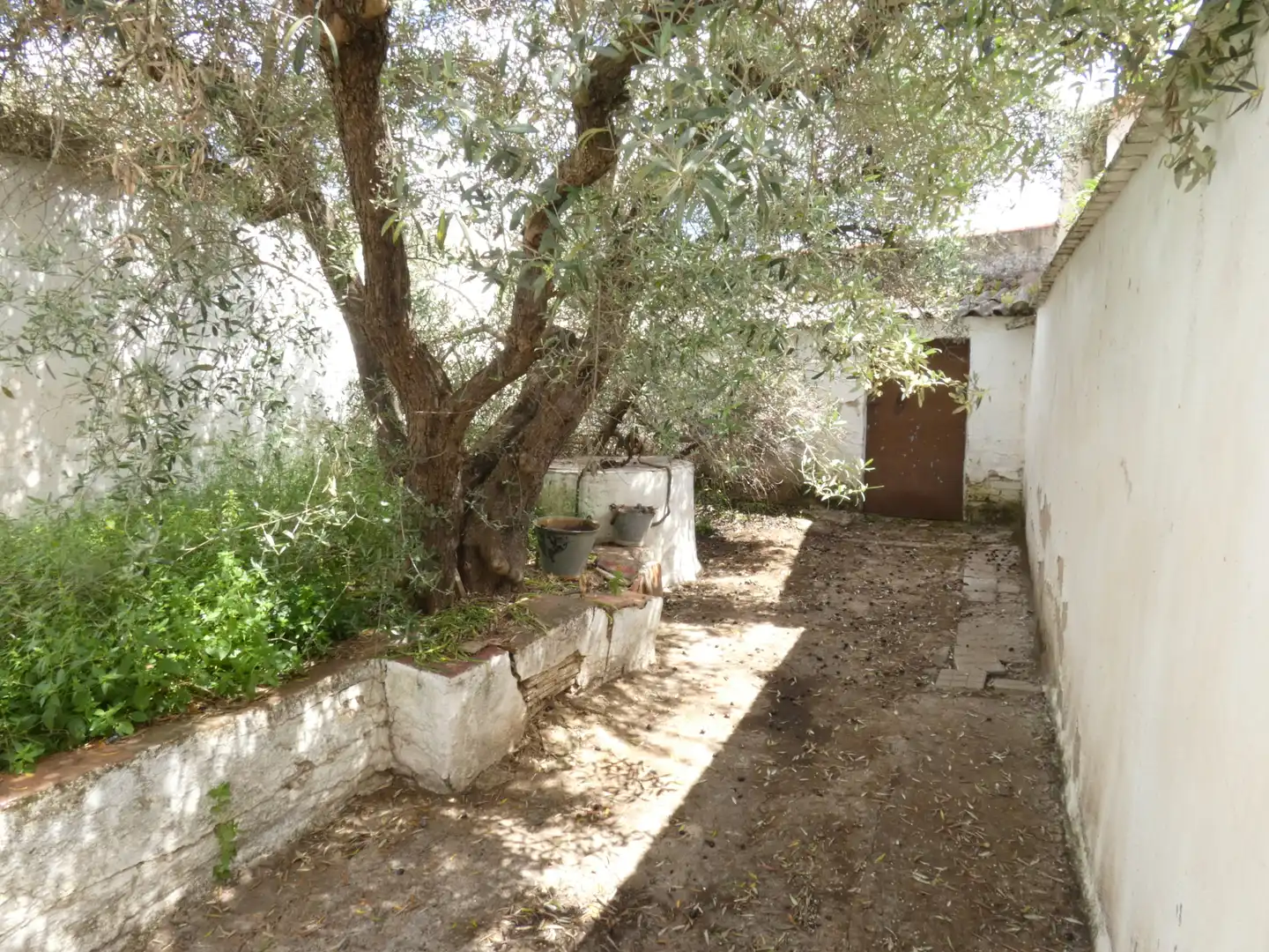 Jardín de Casa o chalet en venta en Azuaga