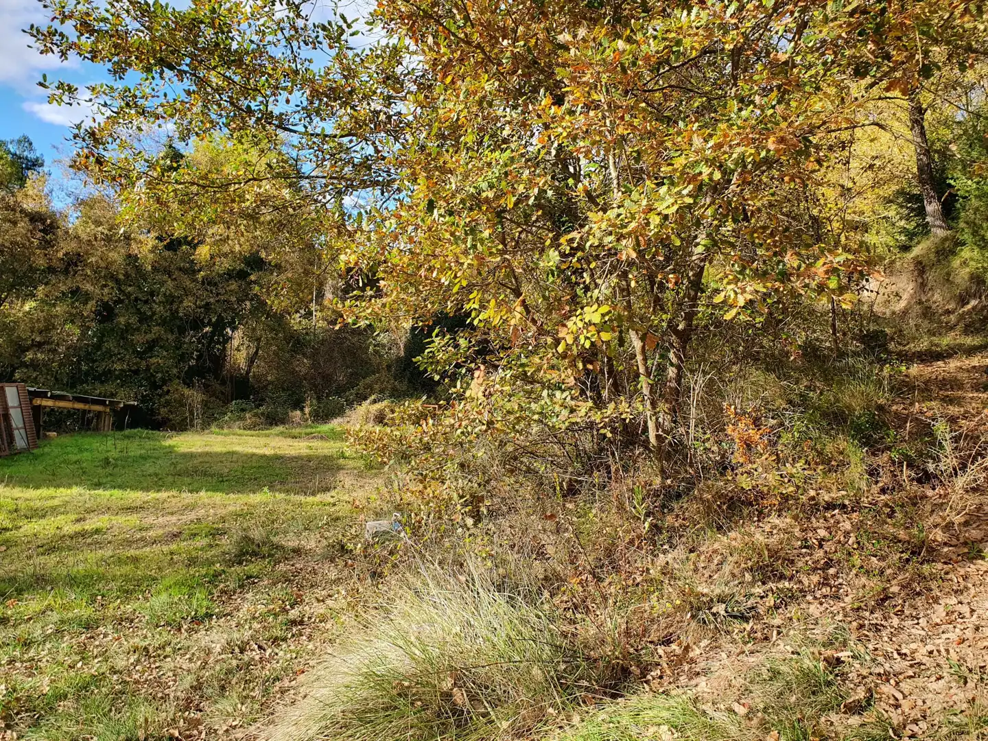 Grundstücke zum Verkauf in Solsona