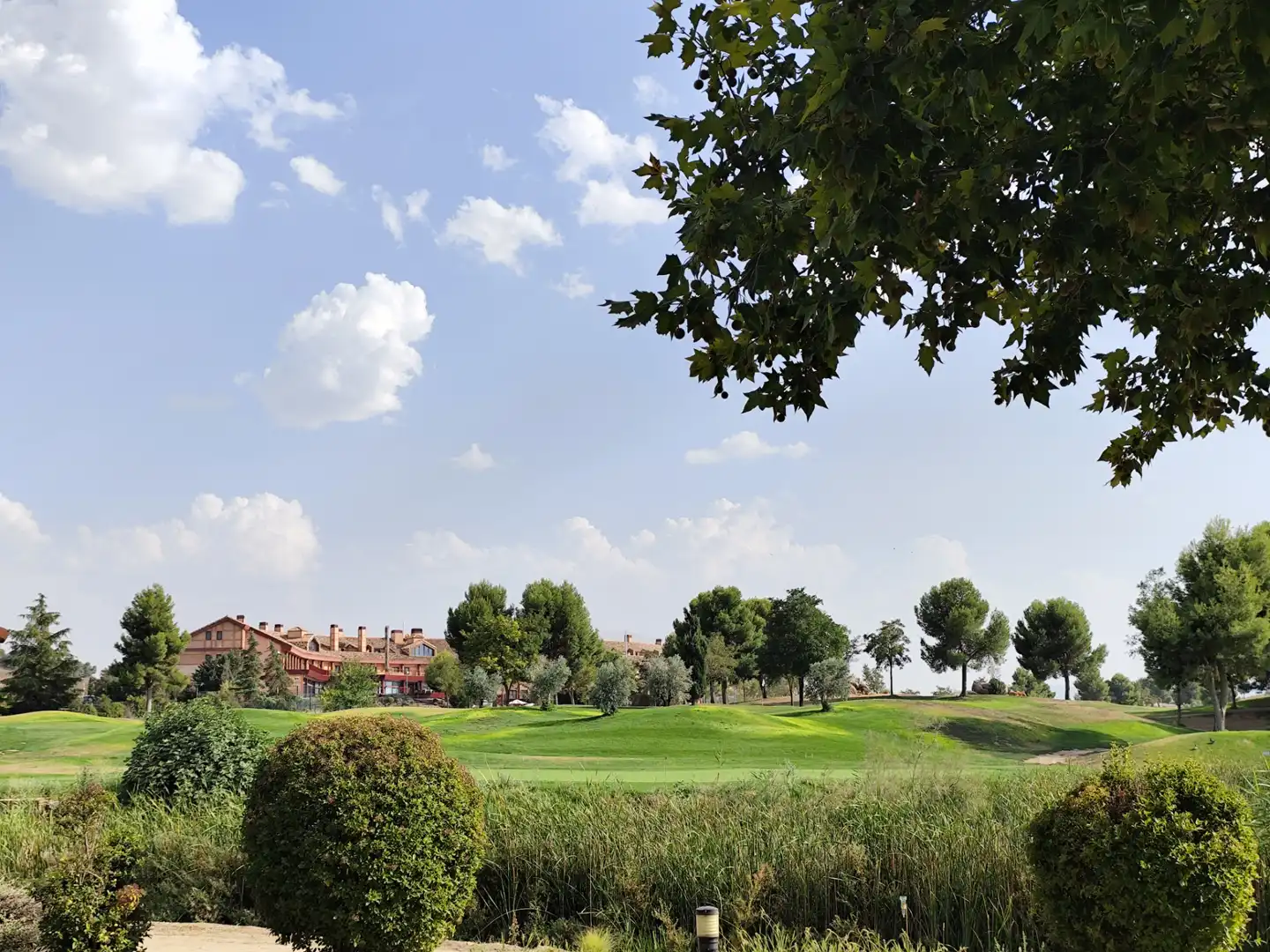 Exterior view of Residential for sale in Layos