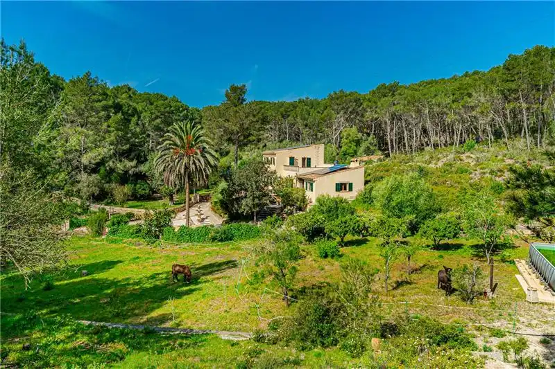 Jardí de Finca rústica en venda en Llucmajor amb Jardí privat i Terrassa