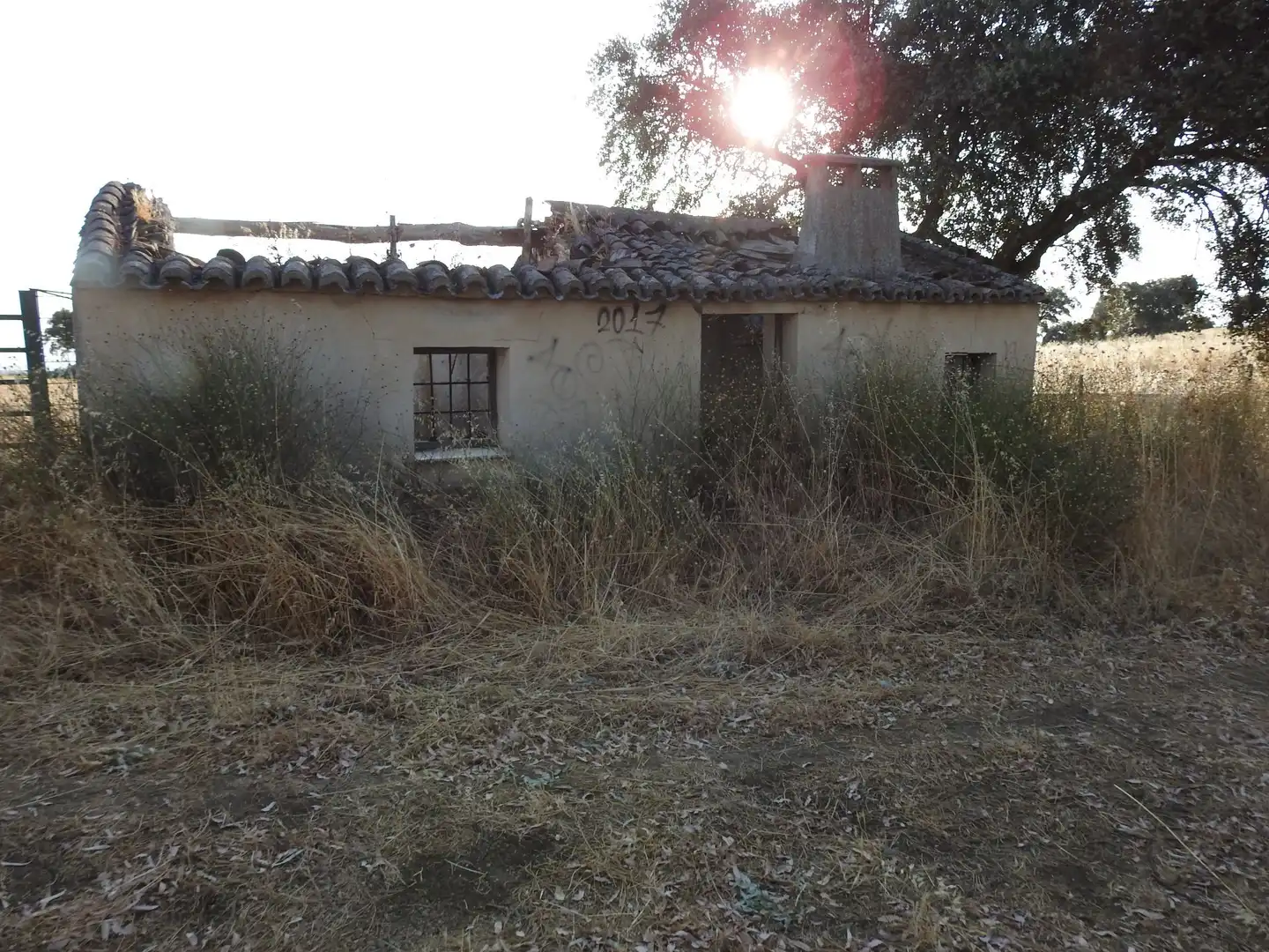 Exterior view of Land for sale in Villar del Pedroso
