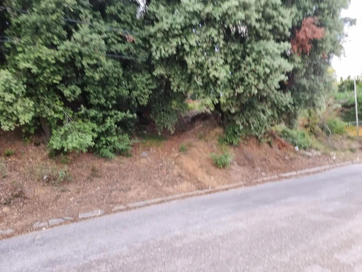 Lands and plots for sale in Calle MARGALLO, imagen 3