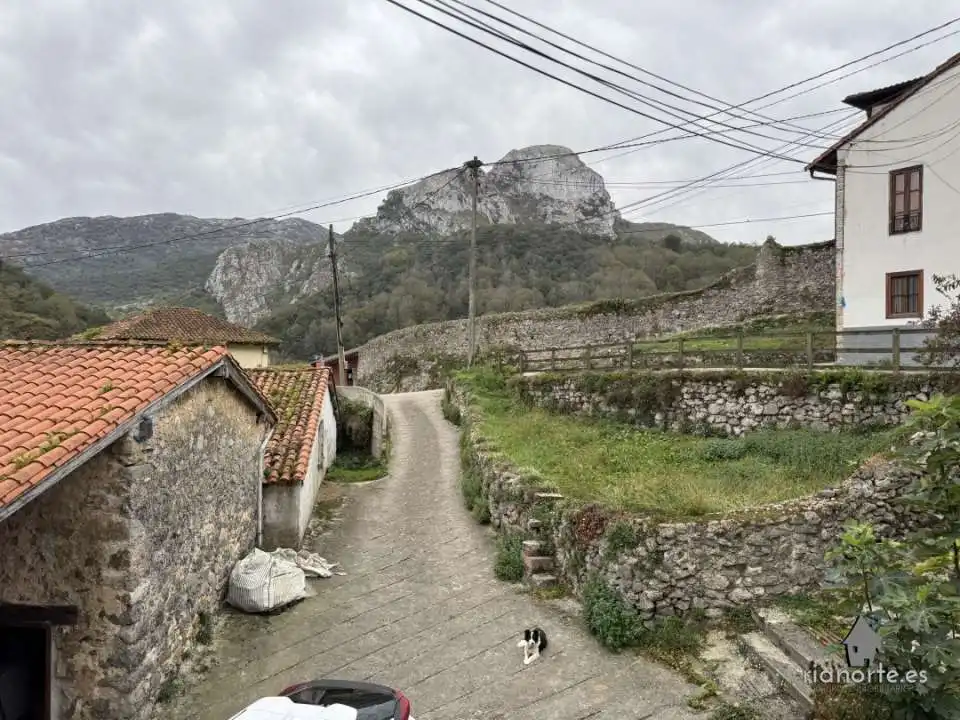 Exterior view of Houses for sale in Peñamellera Alta  with Heating