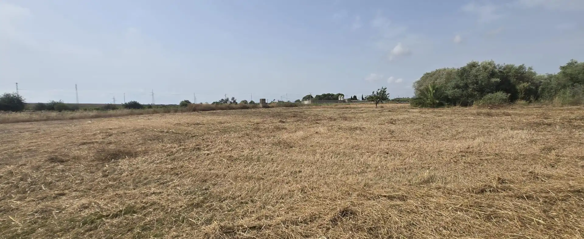 Finca rústica en venda en Vinaròs