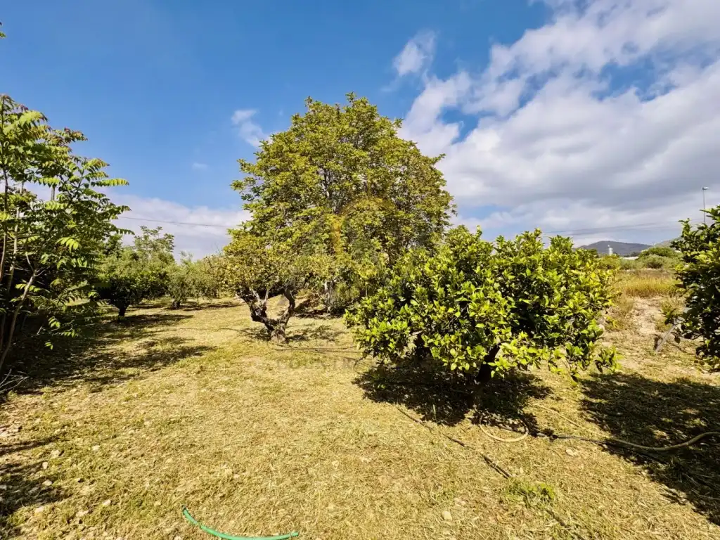 Casa rústica en venta en Partida Alcana De, imagen 6
