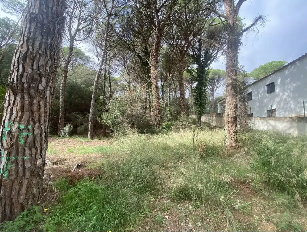 Terrains et parcelles à vendre à Mas Pere - Río de Oro, imagen 10
