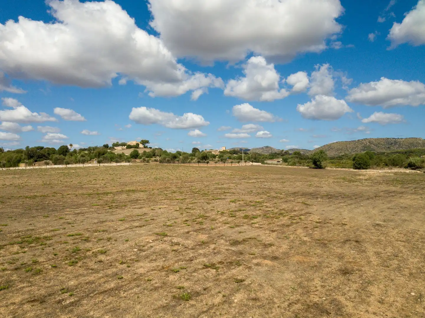 Rural land for sale in Son Vives, imagen 18
