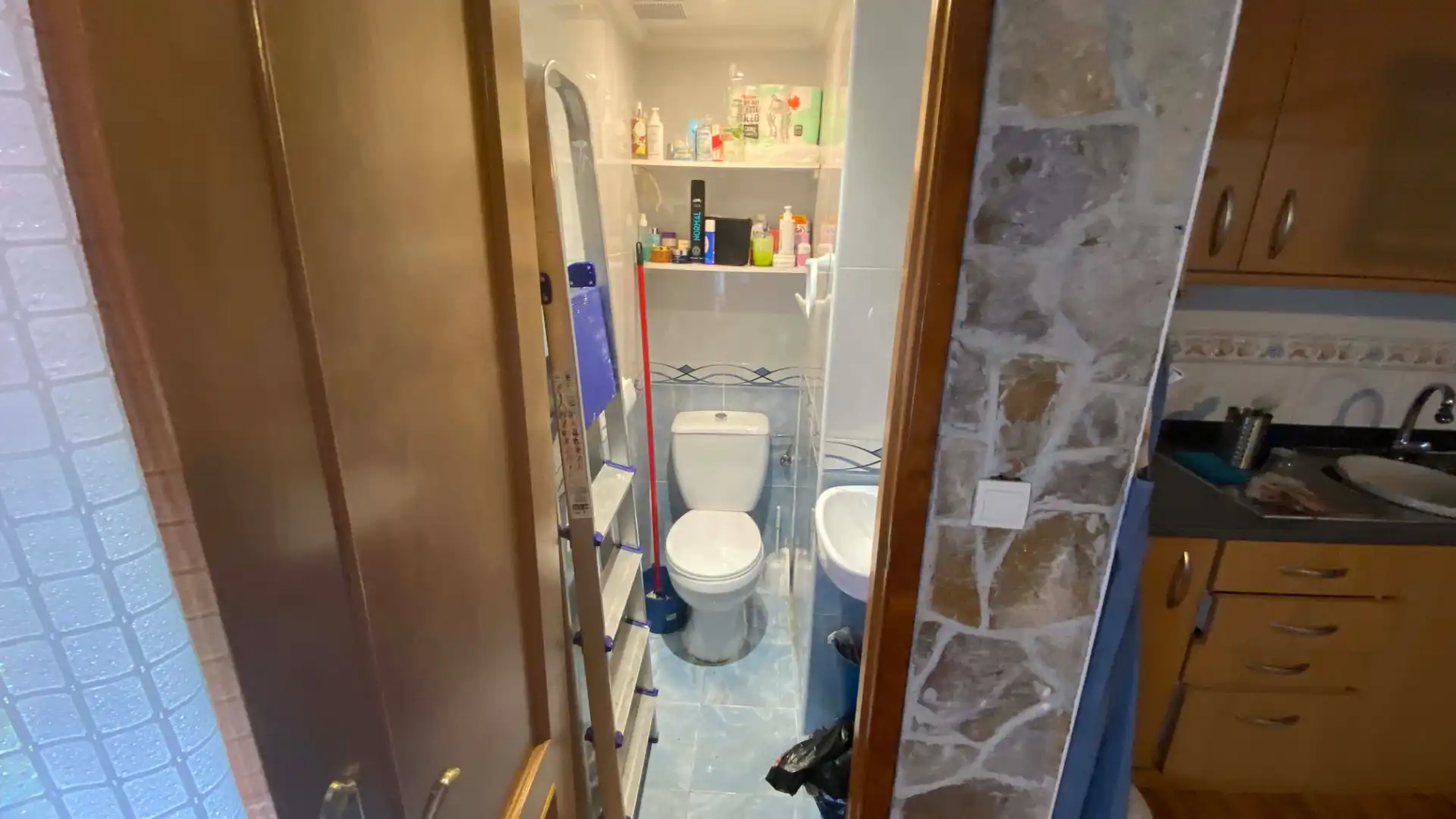 Baño de Casa o chalet en venta en San Martín del Rey Aurelio con Jardín privado, Trastero y Amueblado