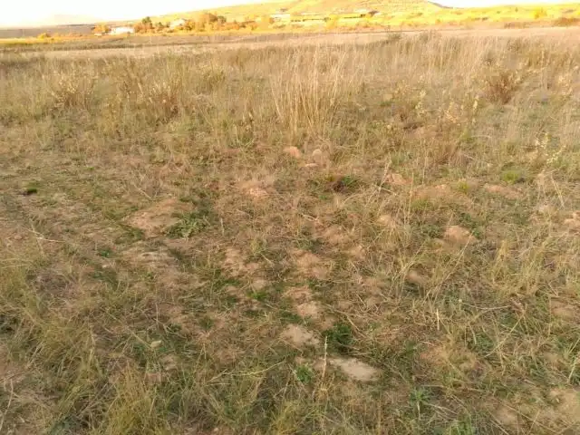 Rural land for sale in Viana, imagen 2