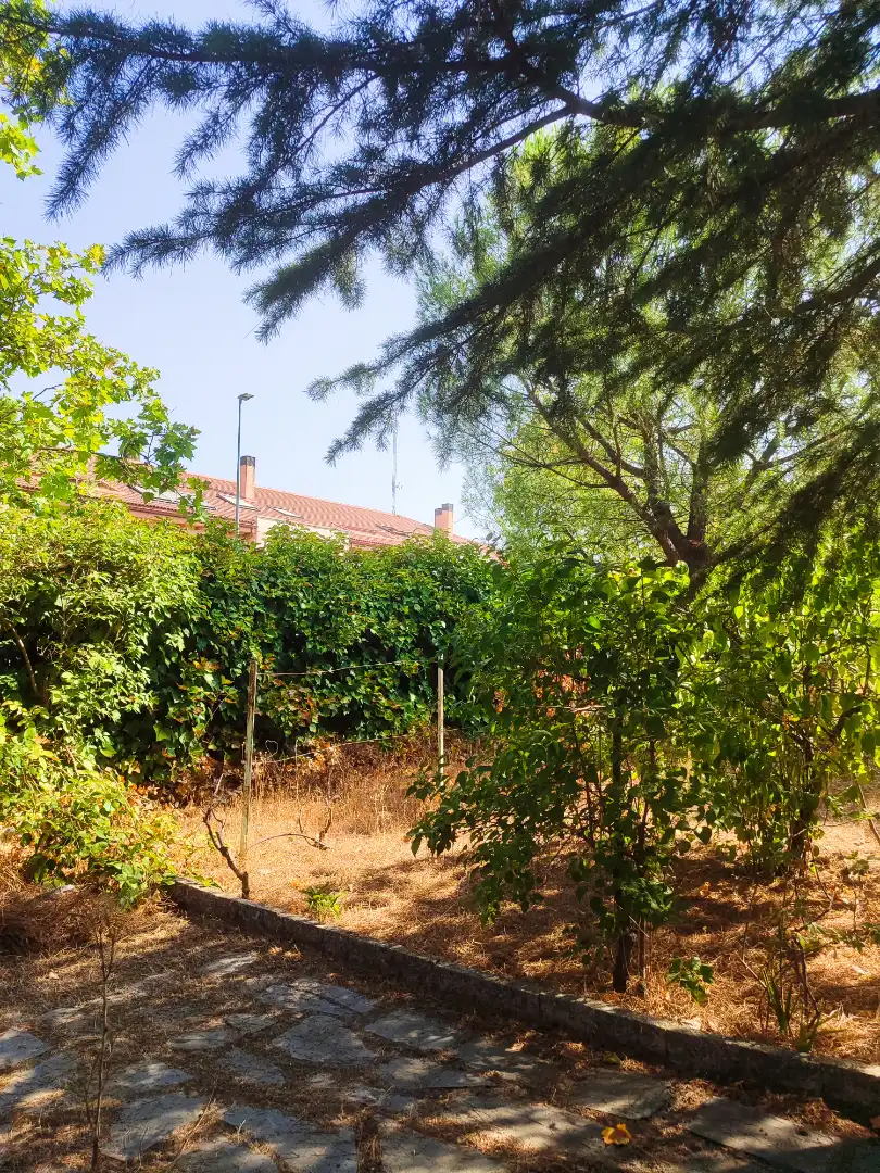 Villa mit Garten zum Verkauf in Calle Álamo 3, imagen 12