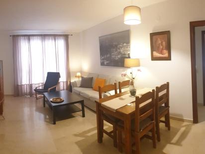 Living room of Flat to rent in Málaga Capital  with Terrace