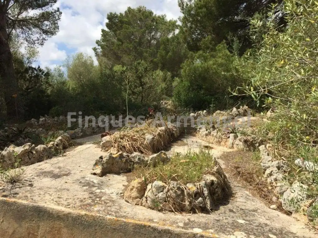 Casa amb jardí en venda a Ciutadella, imagen 19