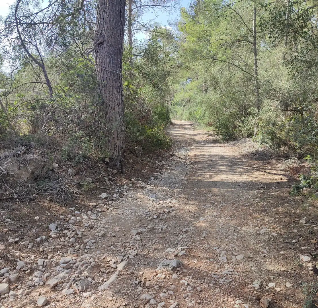 Rural land for sale in Sant Joan, imagen 13
