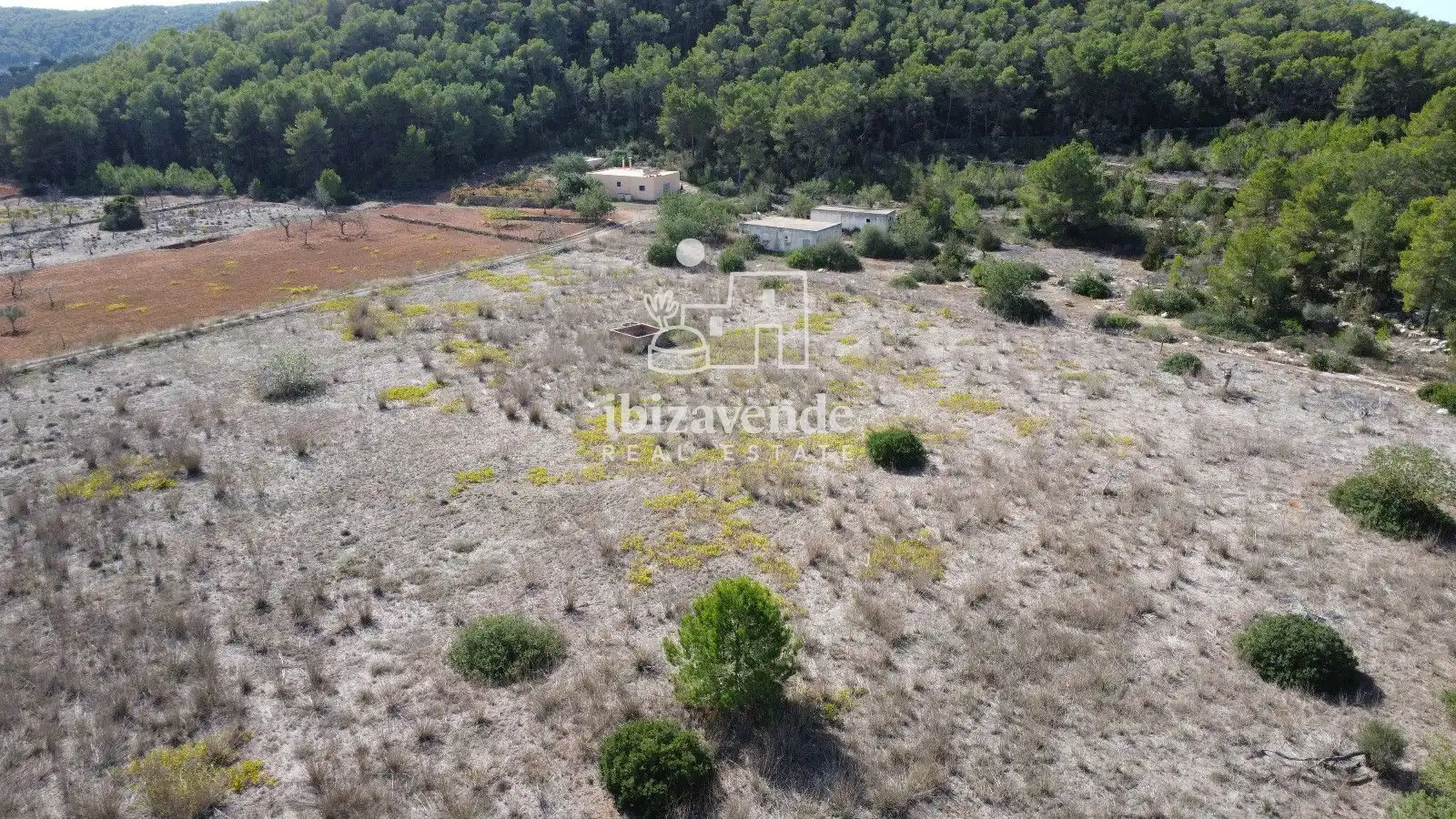 Detached house for sale in San Mateo, imagen 15