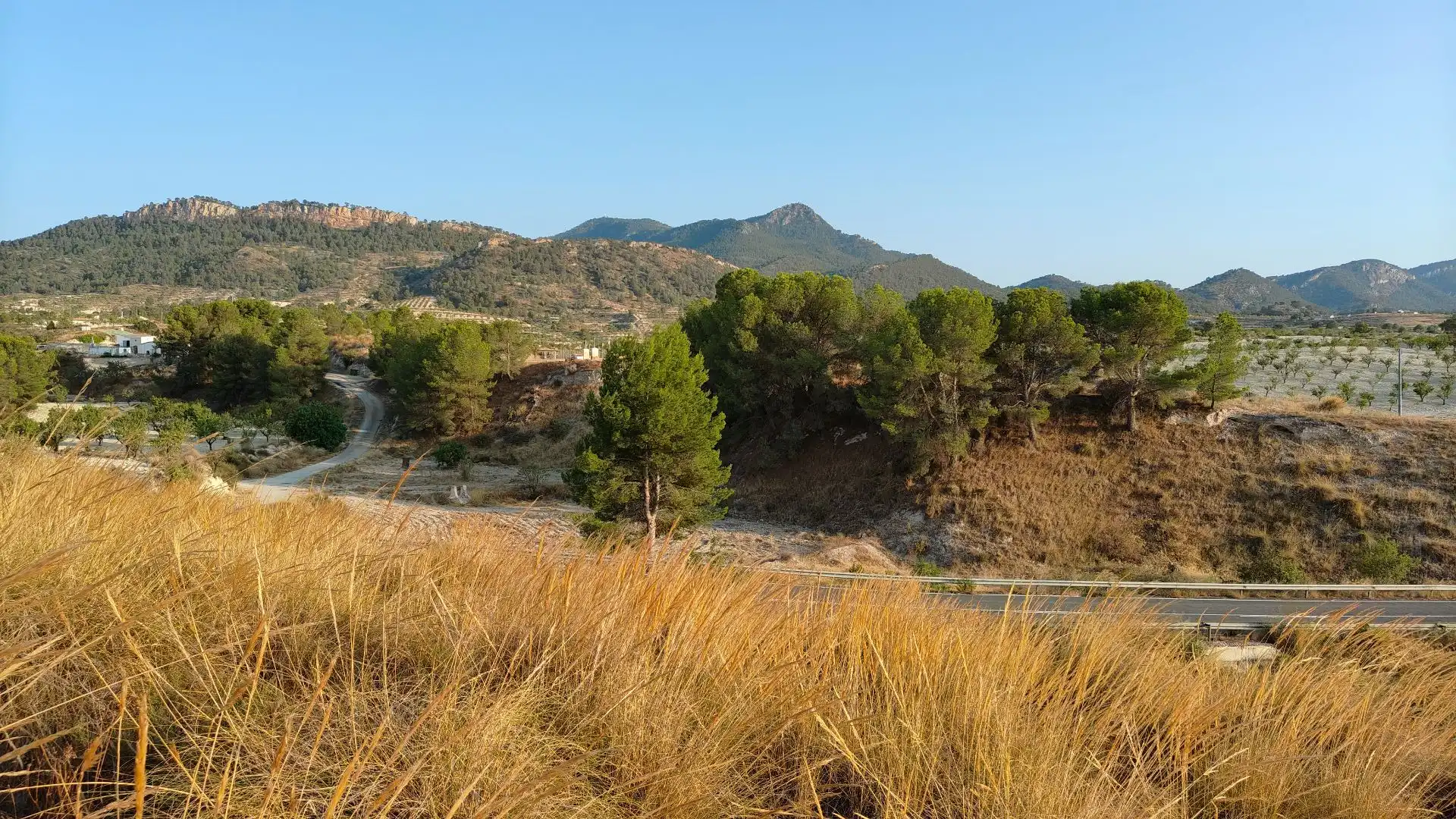 Terreno rustico in vendita a Jumilla, imagen 7
